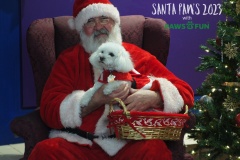 Santa Paws 2023
