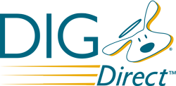 dignewlogo_small