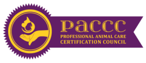 logo-e1465496066219